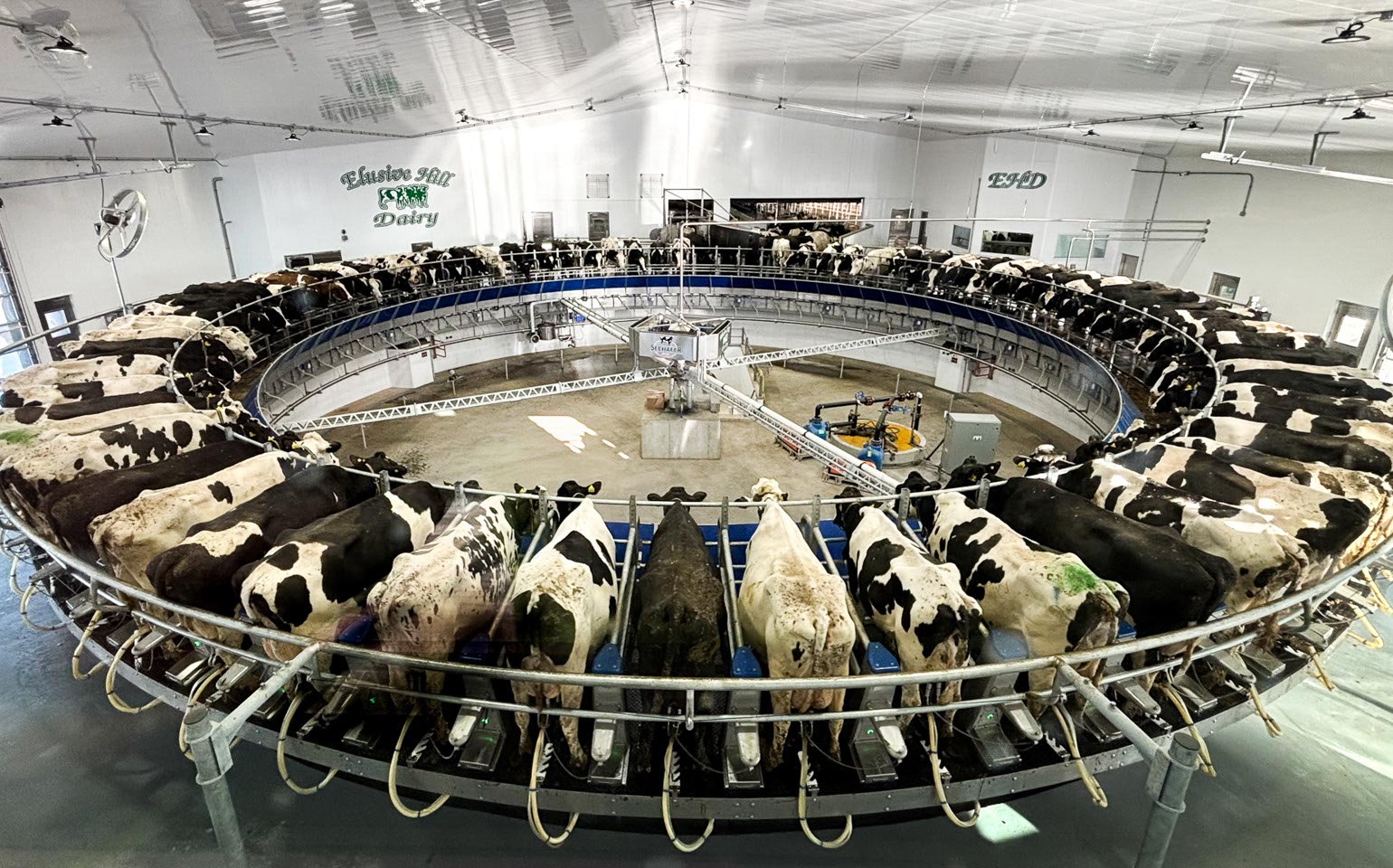 Elusive Hill Dairy’s BouMatic 72-cow rotary milking parlor.
