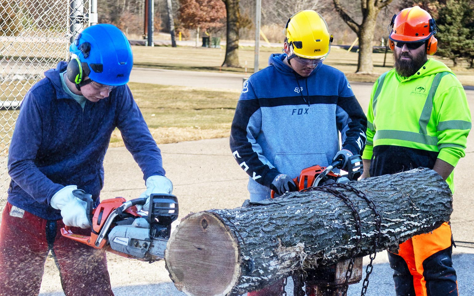 Arborist Technician students practice sawing cut logs.